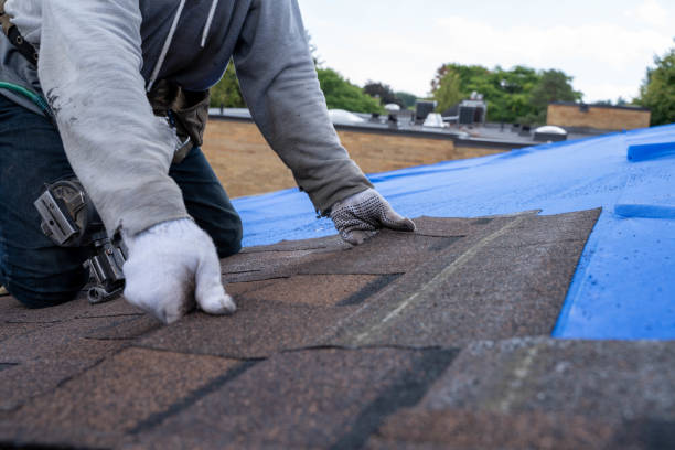 Best Flat Roof Repair Services  in Woodridge, IL