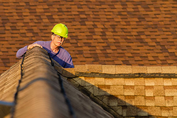 Best Storm Damage Roof Repair  in Woodridge, IL
