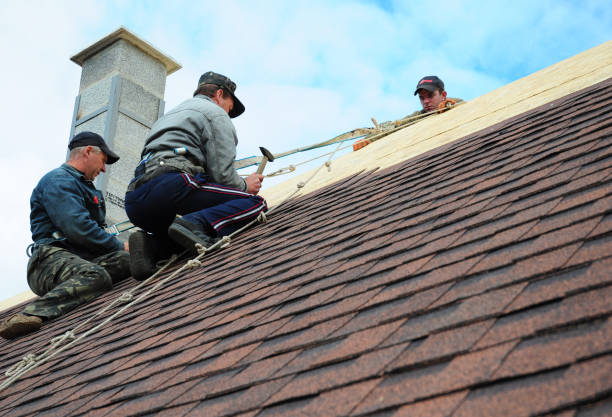 Roof Waterproofing Services in Woodridge, IL